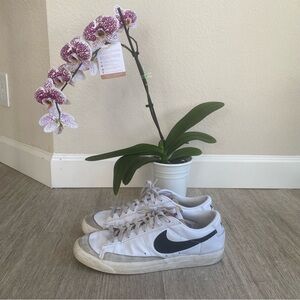 Nike Low Blazers